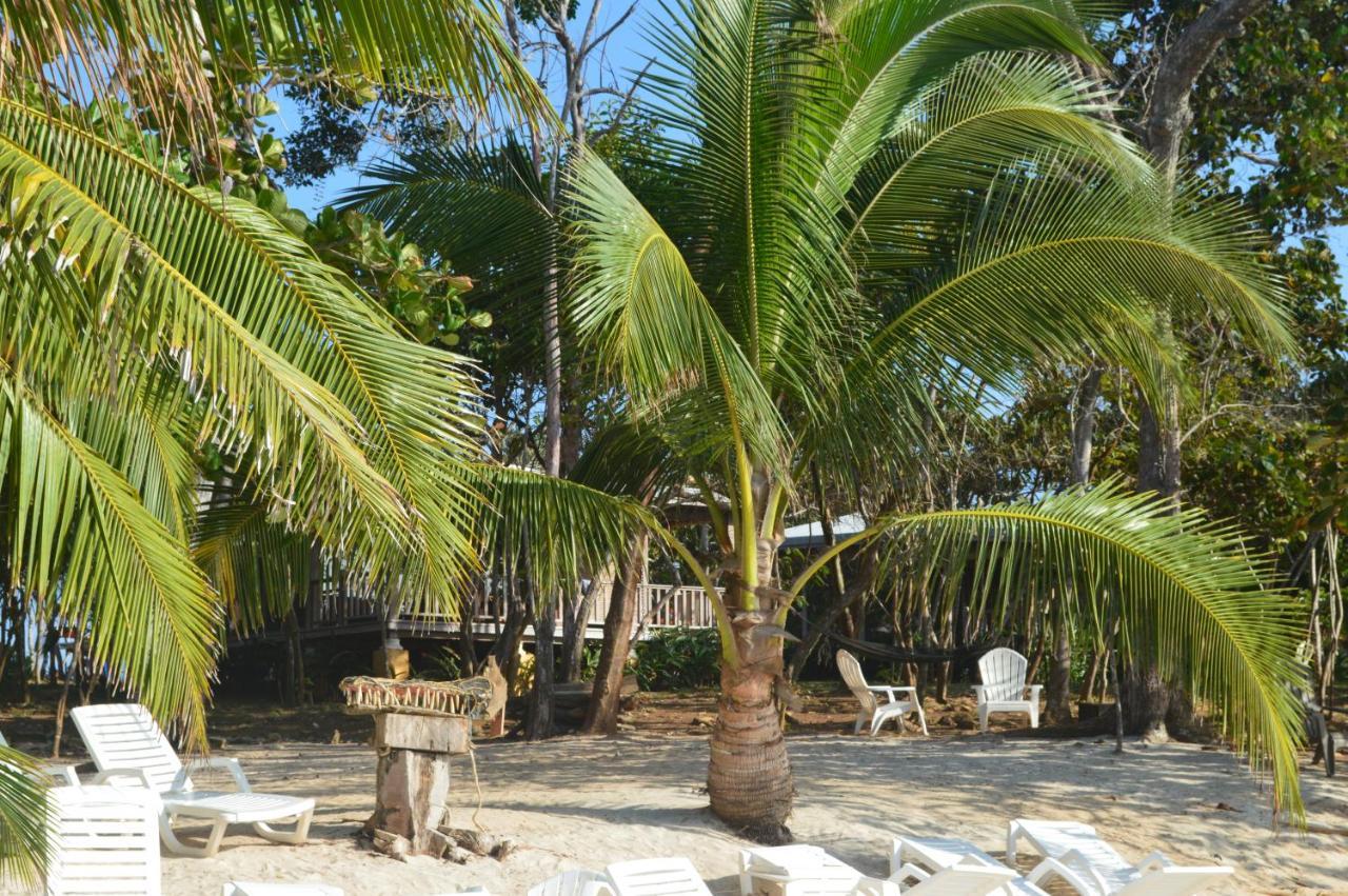 Sonny Island Resort Cabanas Frente Al Mar Punta Bajo Rico Екстер'єр фото
